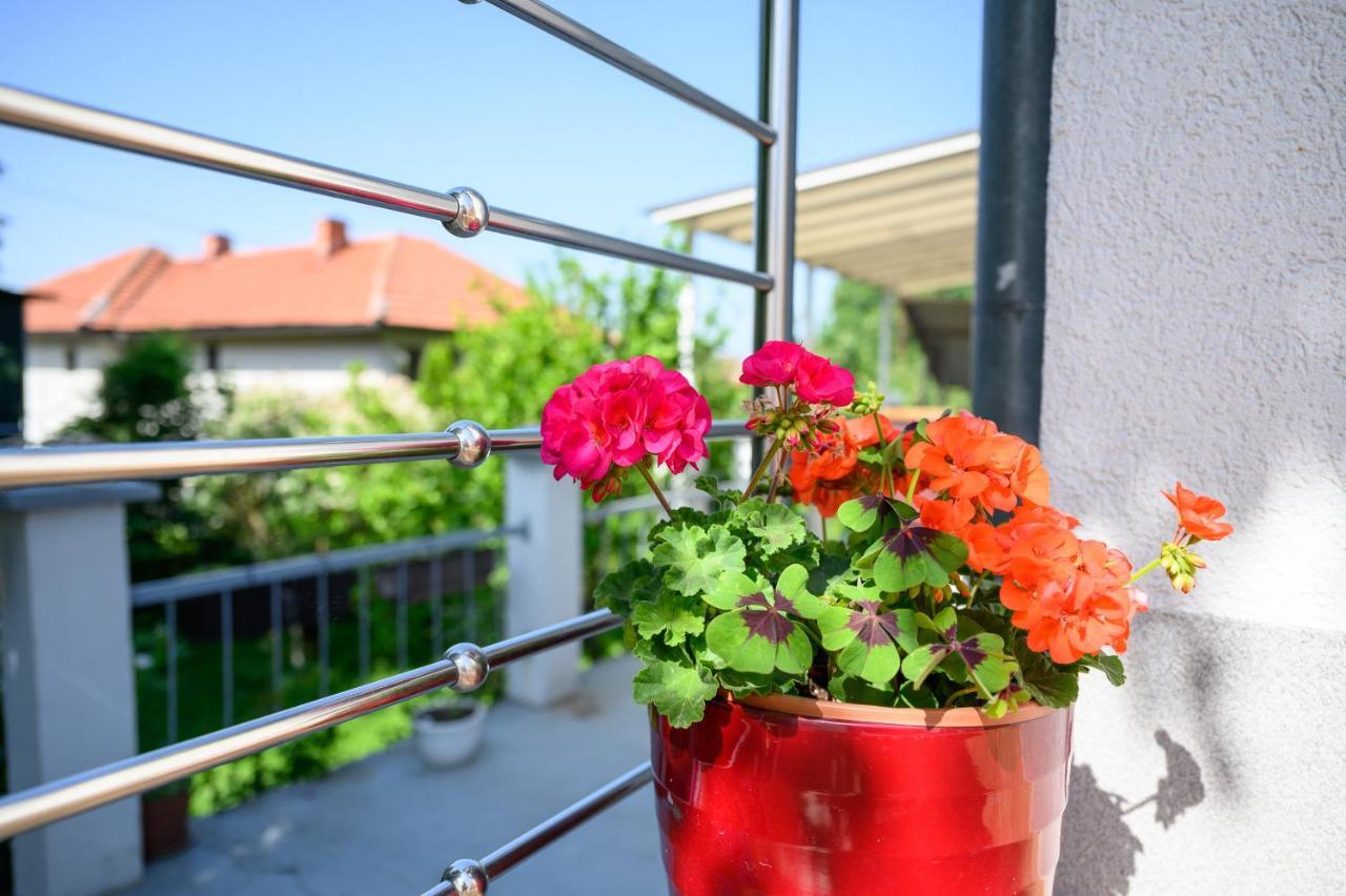 Apartman Mira サラエヴォ エクステリア 写真
